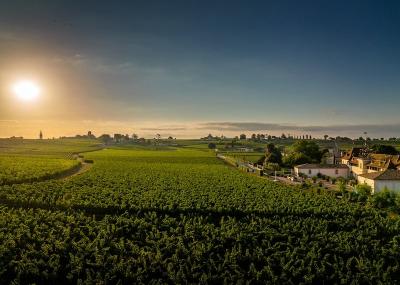 Château Angélus