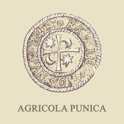 Agricola Punica