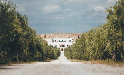 Marchesi Antinori - Tenuta Bocca di Lupo