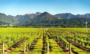 Marlborough