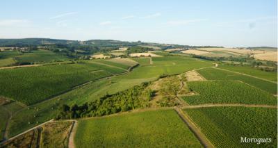 Domaine Henry Pellé