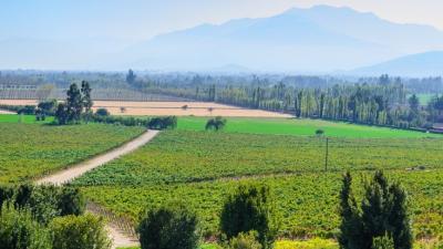 Valle del Maipo