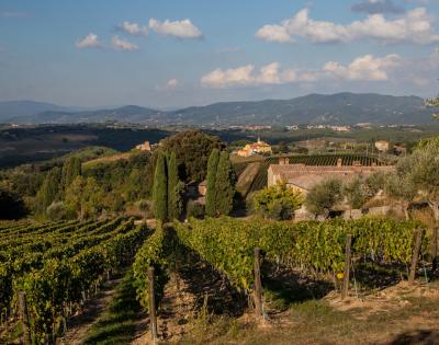 Pèppoli - Marchesi Antinori