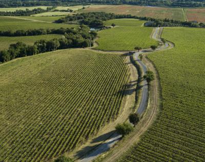 Pian delle Vigne - Marchesi Antinori