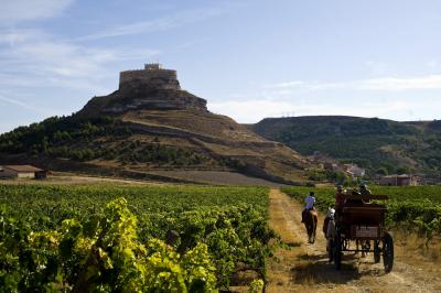 Ribera del Duero