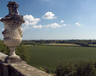 Marchese Antinori - Tenuta Montenisa