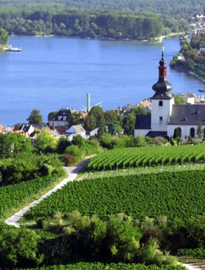 The Rhone Valley