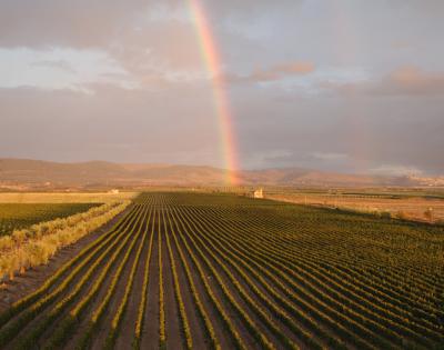 Tormaresca - Marchesi Antinori