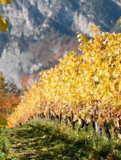 Trentino Alto-Adige