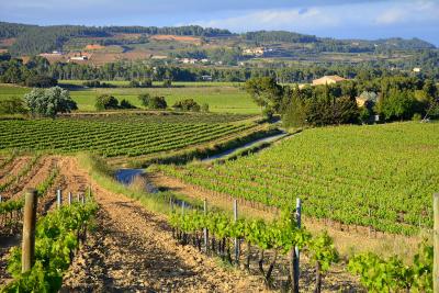 Penedès